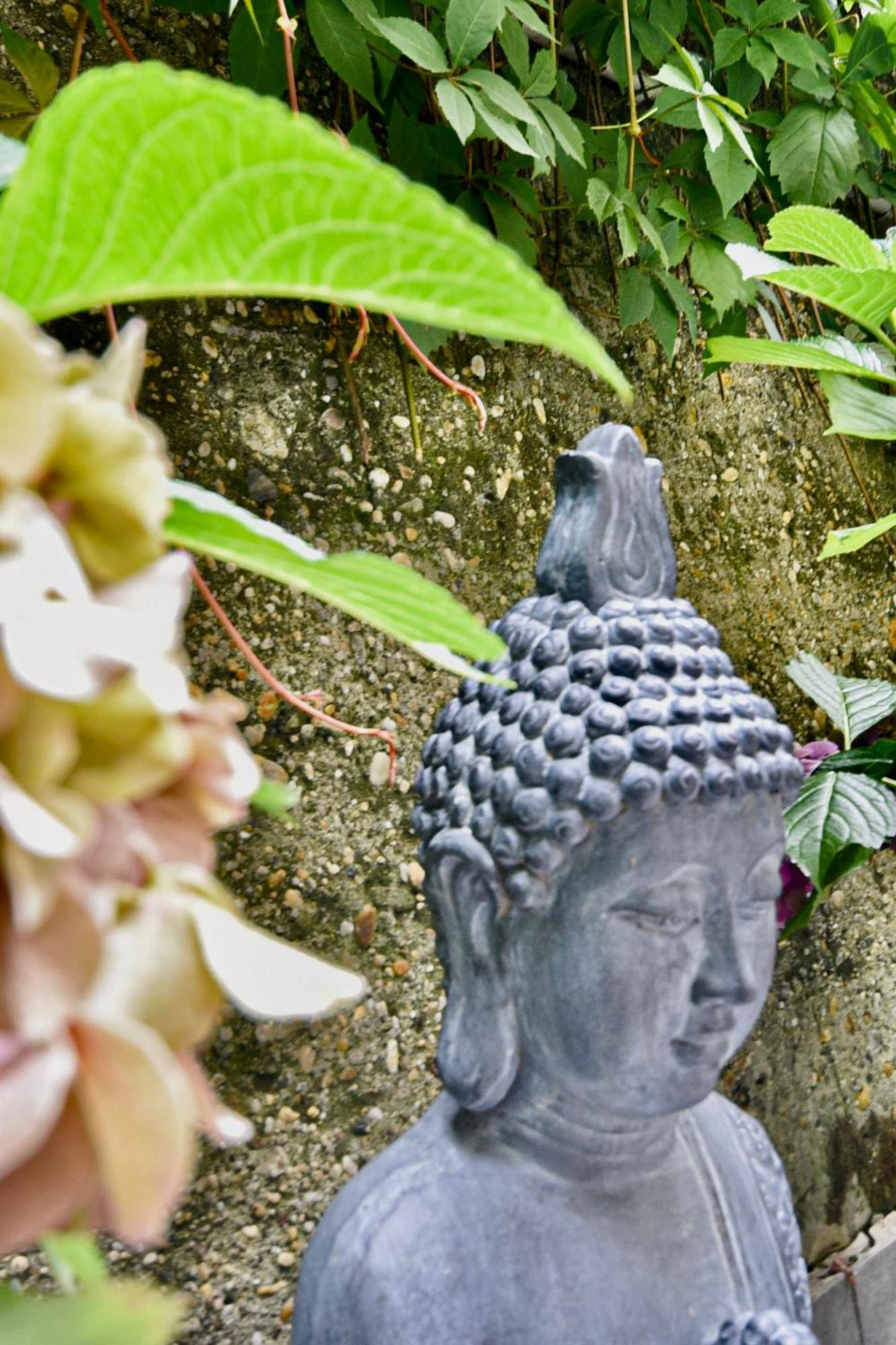 Buda Bliss Garden Budapest Exteriör bild